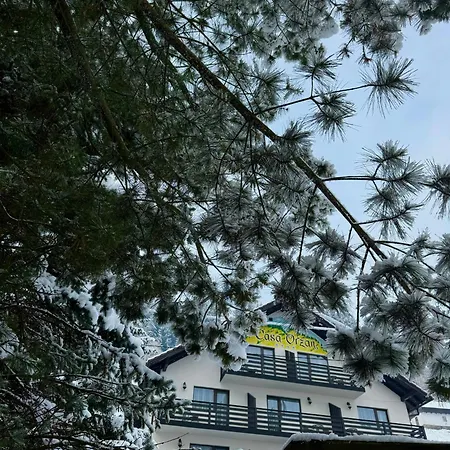 Guest house Pensiunea Orzan Moeciu De Sus
